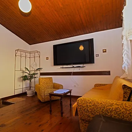 Apartment Antica *
